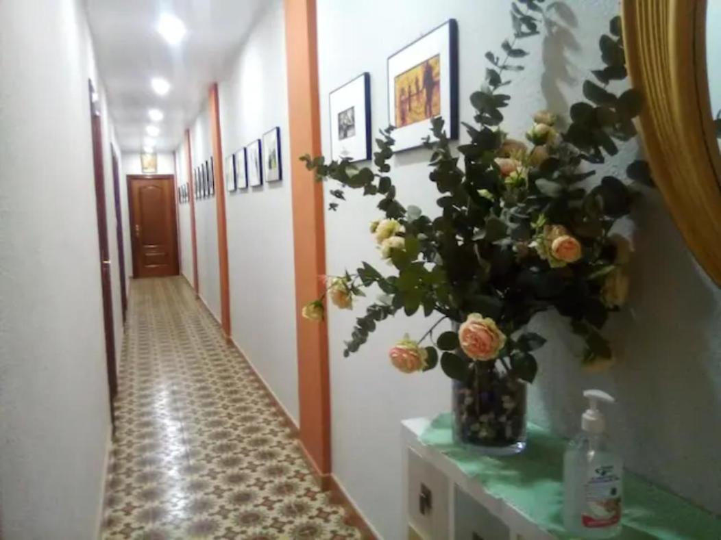 Las Golondrinas Zaragoza Saragossa Zewnętrze zdjęcie